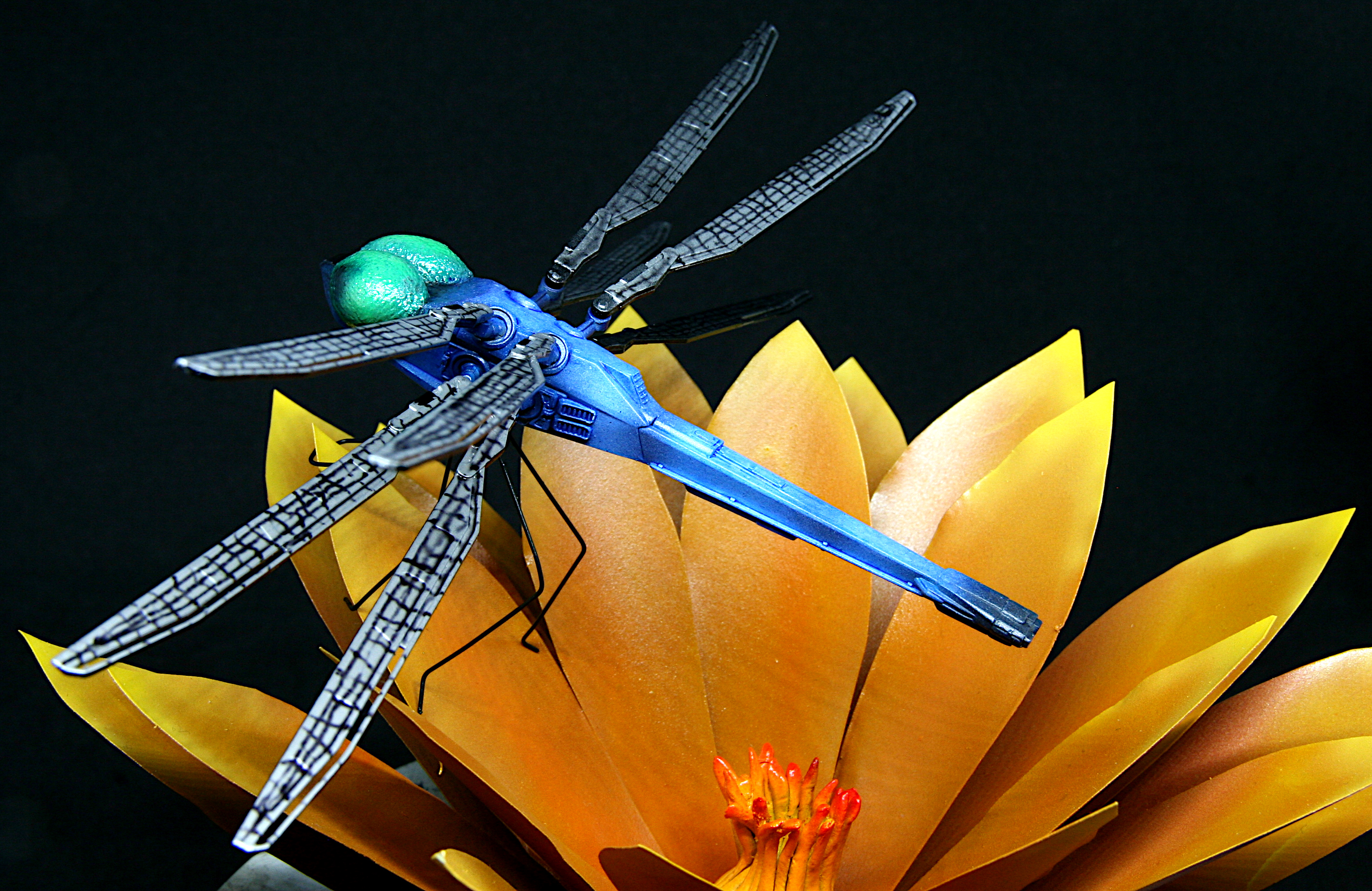 Dragonfly