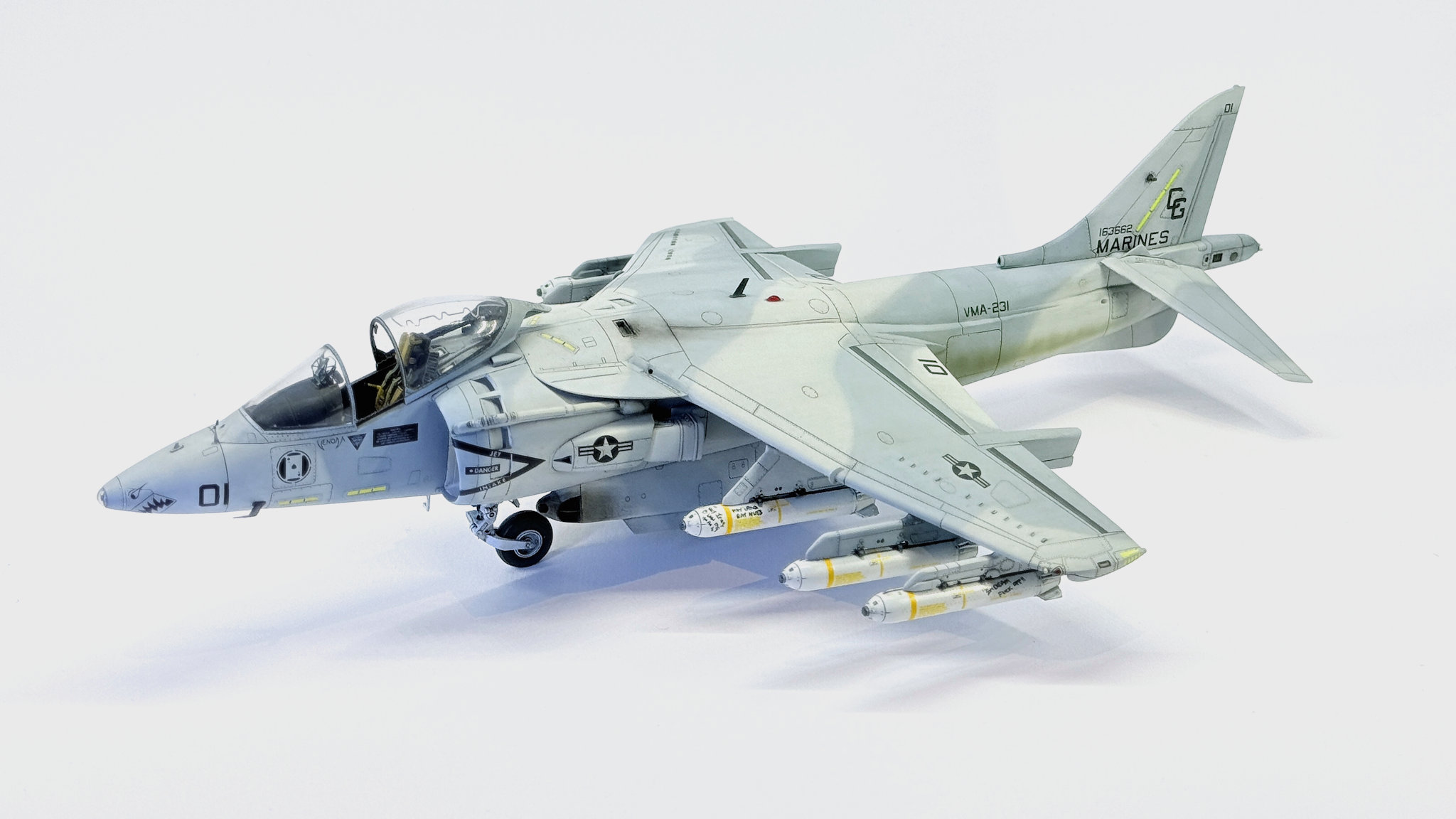 AV-8B Harrier II, Venom, VMA-231, Desert Storm